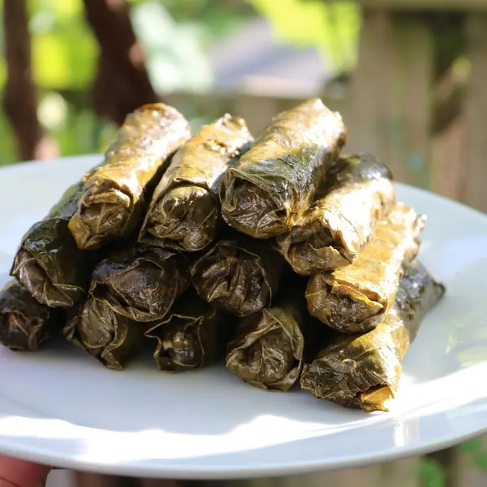 Zeytinyağlı Yaprak Sarma İçi (Pirinçli Dolgu)